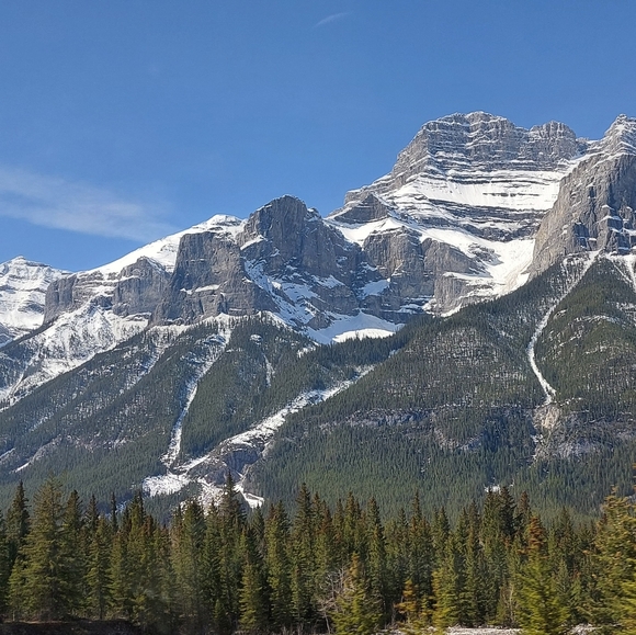 Meet your Posher, Berlyn - Picture 1 of 1